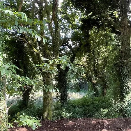 Suitesnature Ecocamp San Roman Campsite